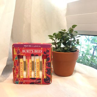 BỘ SON DƯỠNG BURT'S BEE FRUIT MIX LIMITED EDITION