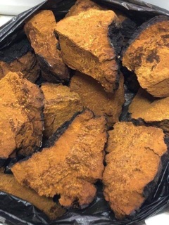 NẤM CHAGA NGA (1kg) ( HSD 12/2023)