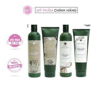 Set gội xả Weilaiya Ginger & Zingiber Shampoo 400ml và Conditioner 200ml xả gừng & hà thủ ô