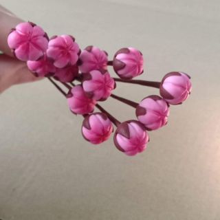 Nụ hoa đào tròn