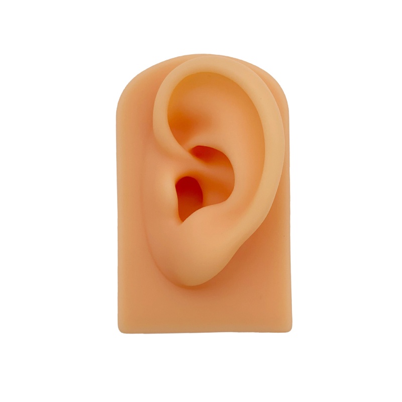 Mô Hình Tai Người Bằng Silicon Mềm Tỉ Lệ 1: 1