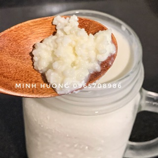 Nấm sữa Kefir làm sữa chua Kefir(100% thành công)