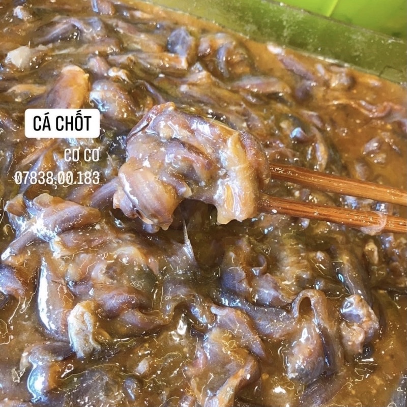 MẮM CÁ CHỐT - MẮM CÁ TRÈN ( Mắm Ăn Sống  )