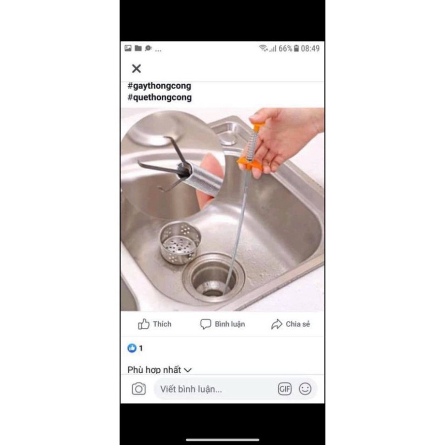 cây thông cống que