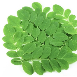 Bột Chùm Ngây 500gr-1kg