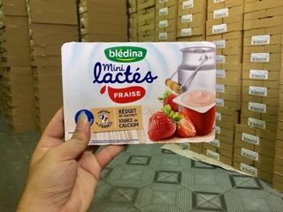 Sữa chua Bledina Pháp ( vỉ 6 hộp )