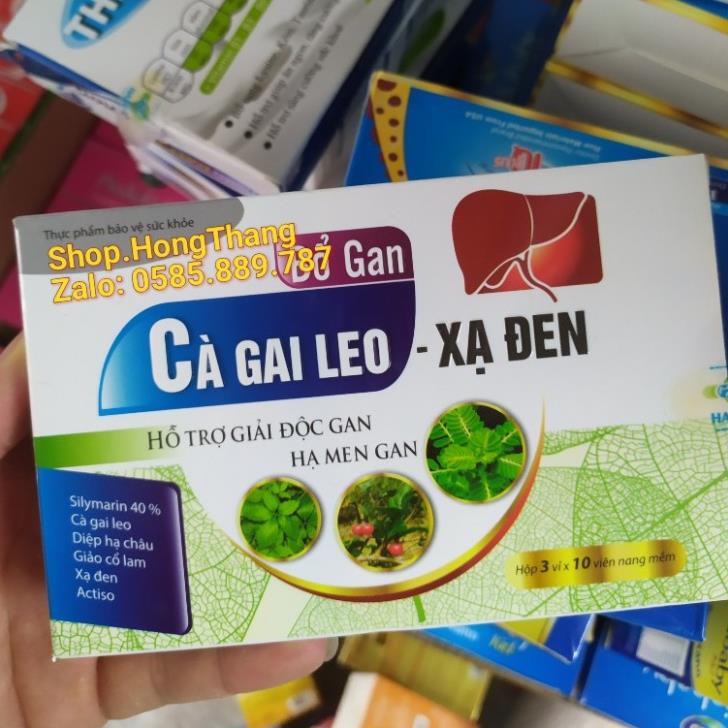 Bổ gan Cà Gai Leo Xạ Đen Giải Độc Rượu - Bảo Vệ Gan, hạ men gan, tăng cường chức năng gan