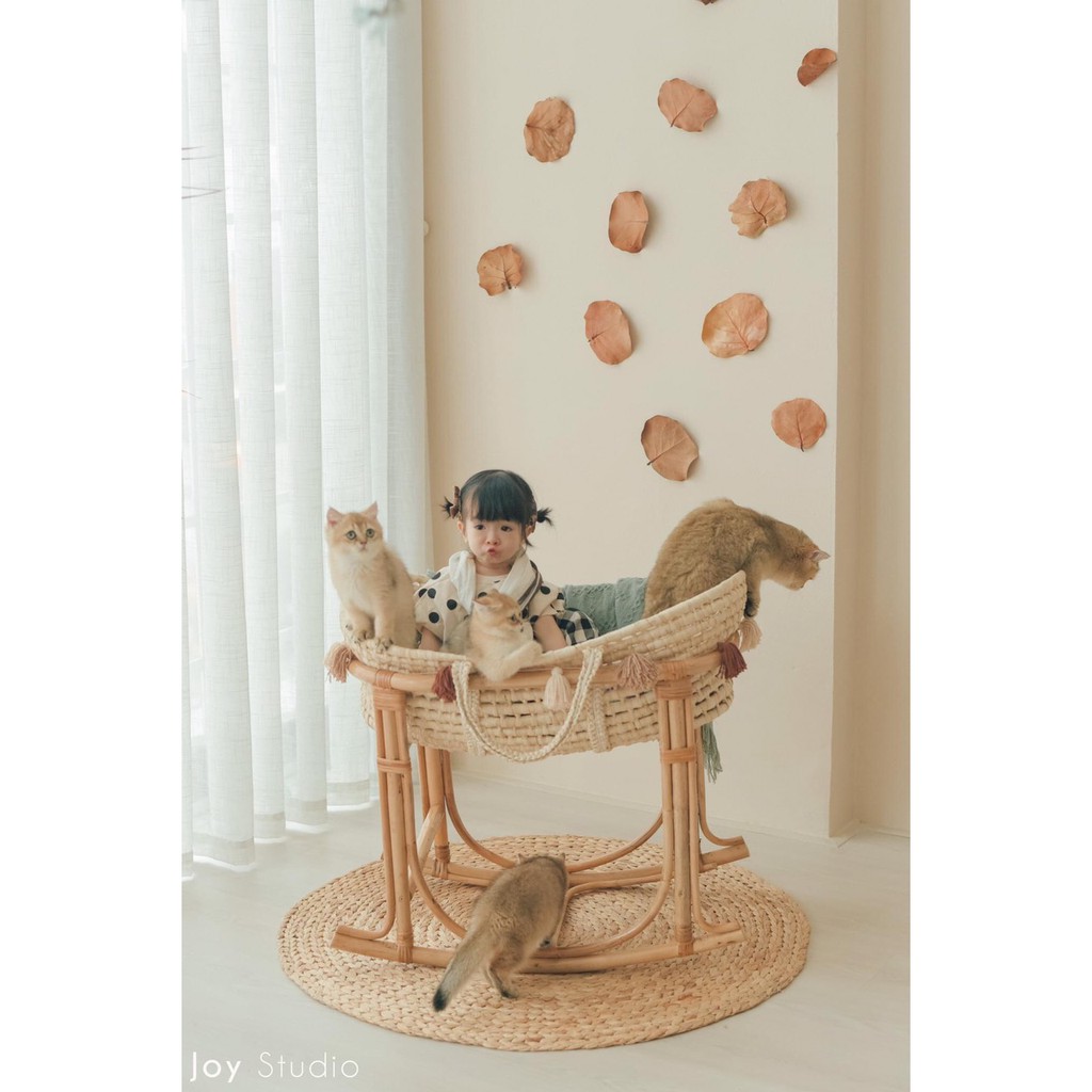 10 Lá Bàng Khô Hoàng Sa Trang Trí Concept Siêu Xinh Xắn Dành Để Trang Trí Concept Làm Nguyên Liệu Handmade Cho Bé