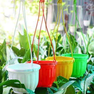 Chậu nhựa treo bí mini