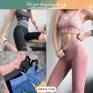 Bộ Tập Gym YOGA Hàng Quảng Châu Cao Cấp -Vải Dệt Kim(BT02)