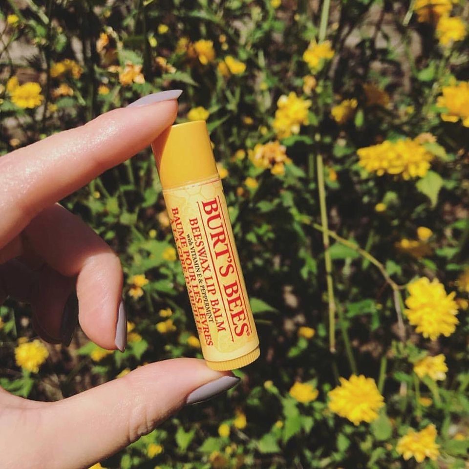 Son thỏi dưỡng môi Burt's Bees Beeswax Lip Balm