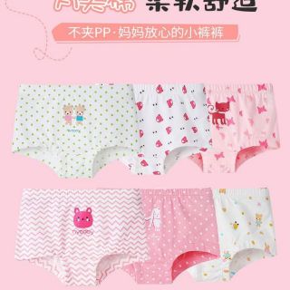 #set 5 quần chíp trẻ em