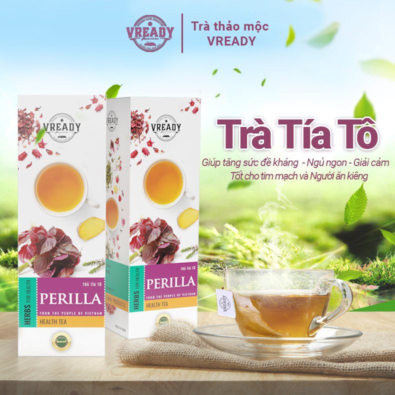 Trà Tía Tô Vready - Trà Túi Lọc Thanh Nhiệt, Giải Cảm, Giảm Cân Hiệu Quả | BigBuy360 - bigbuy360.vn