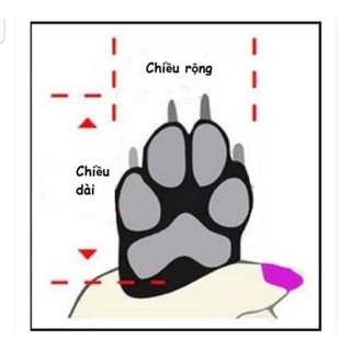 Giày đi mưa cho chó mèo