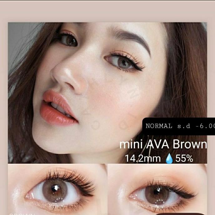 Lapis Brown / Socola Softlens. Kích Thước 14Mm (Không Bao Giờ & Minus) Bằng Mơ Màu | BigBuy360 - bigbuy360.vn