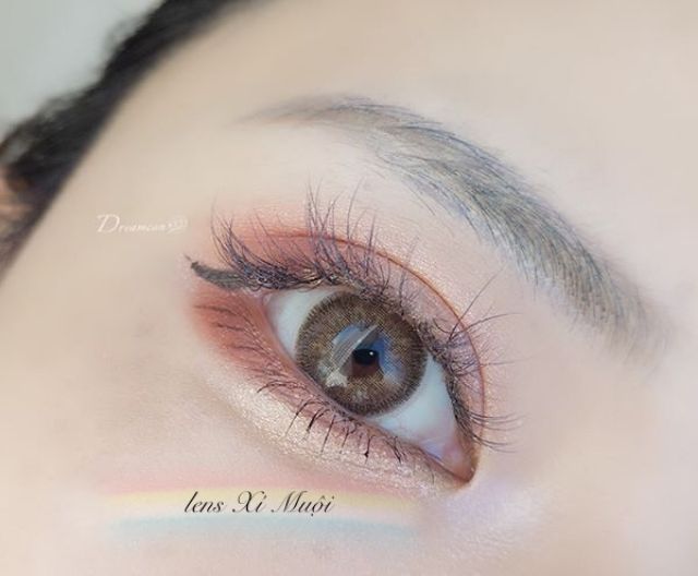 Lens Lolita Brown -0 độ