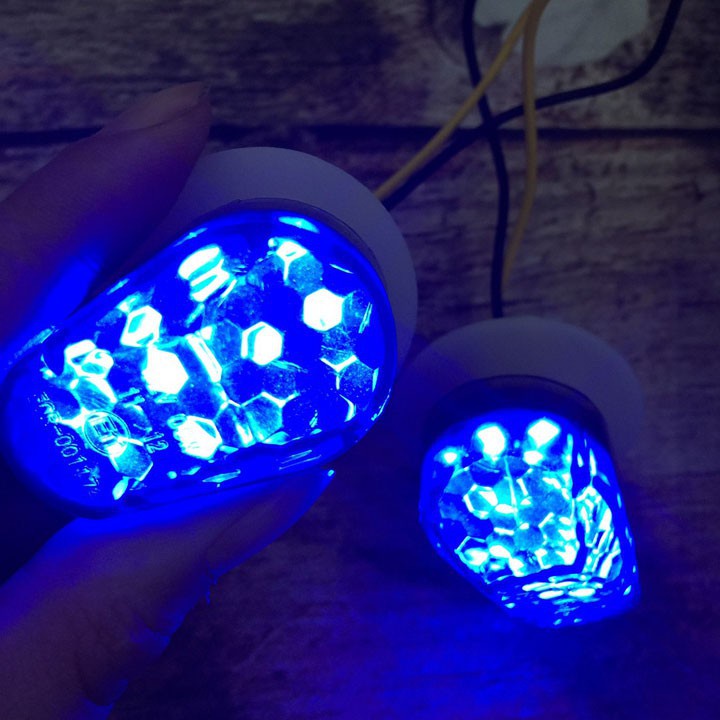 Xi nhan led con bọ, con rùa Winner X trước sau, exciter 150, Vario,MSX, CBR, moto, PKL