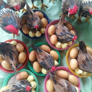 Đàn gà, ổ gà
