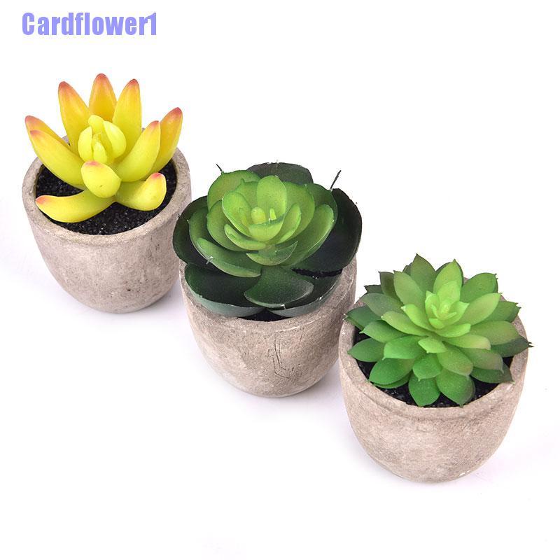 Chậu Cây Giả Mini Trang Trí Sân Vườn