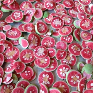 CÂY CHAY RUỘT ĐỎ