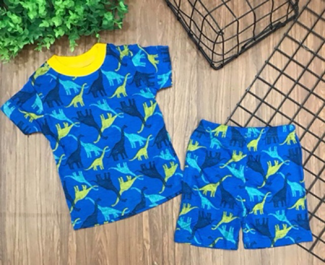 Bộ bozip/borip ngắn tay hoạ tiết bé trai 8-21 kg (hình thật cuối)