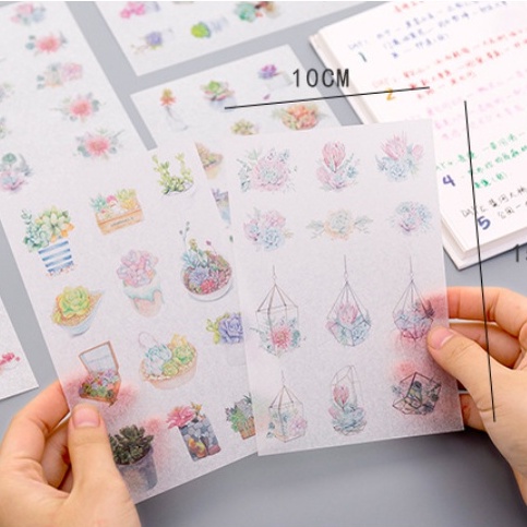 Set 6 tập sticker trang trí cây xương rồng Cantus