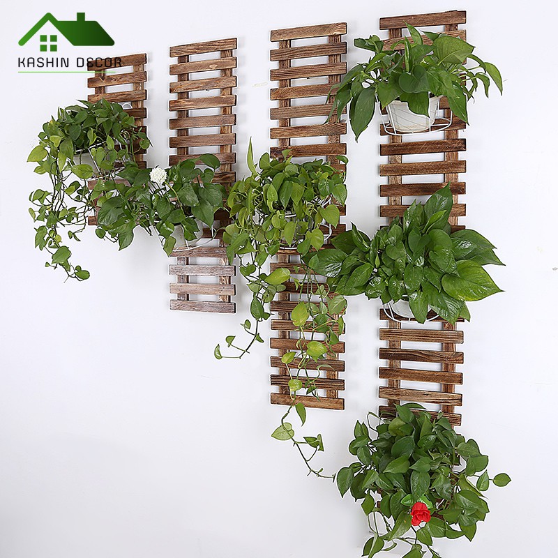 Lịch sử giá Kệ cây cảnh - kệ dây treo tường cập nhật 2/2024 - Mua ...