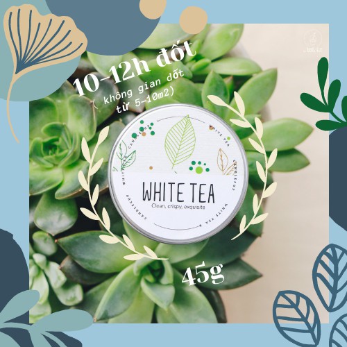 Nến thơm thư giãn Candle Cup- AGAYA - A Little Bit - 45g