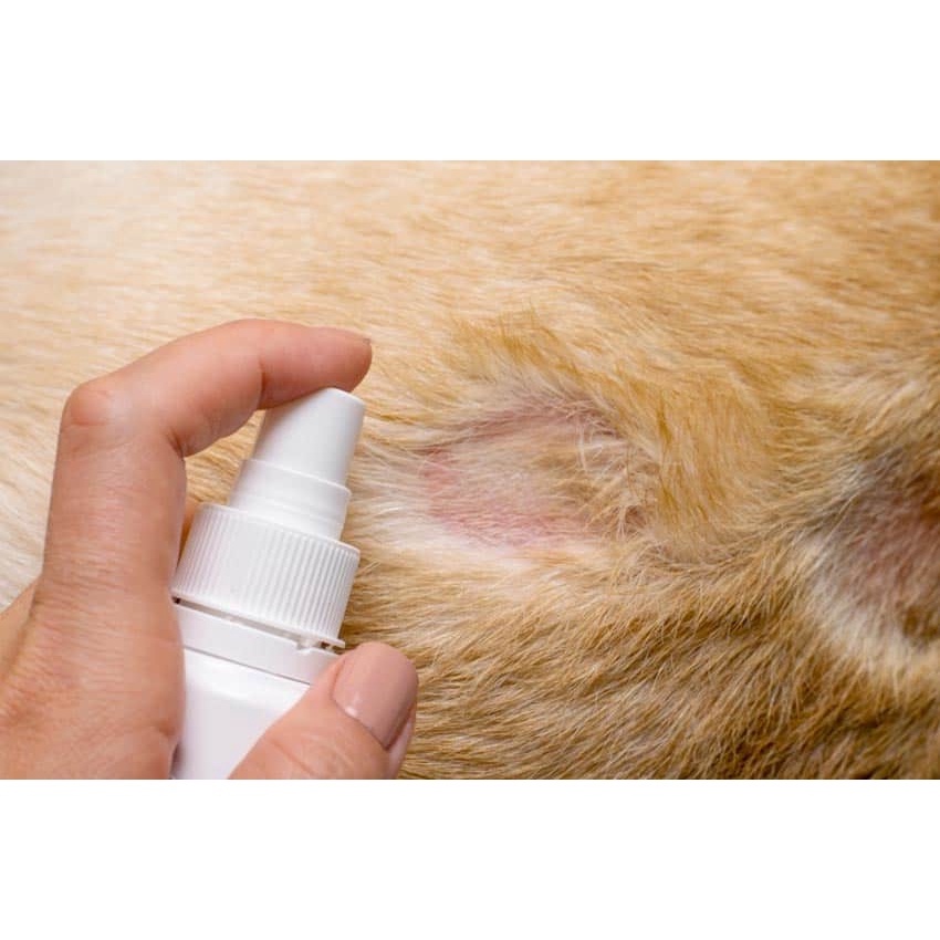 Thuốc Bôi Trị Nấm Cho Chó Mèo Keto Chống Khuẩn Kem Trị Nấm Cho Thú Cưng