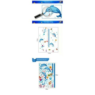 decal dán tường đo chiều cao cá voi