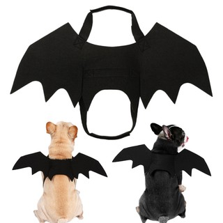 Đồ Hóa Trang Halloween Cho Thú Cưng