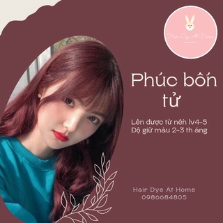 Thuốc nhuộm tóc - PHÚC BỒN TỬ