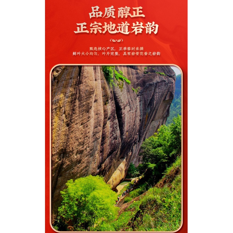 NHAM TRÀ ĐẠI HỒNG BÀO THƯỢNG HẠNG (ĐÓNG HỘP 100 GRAM)
