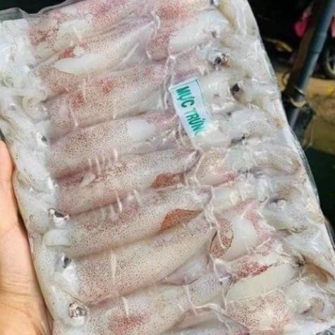 500gr Mực Trứng (giao nhanh TP HCM)