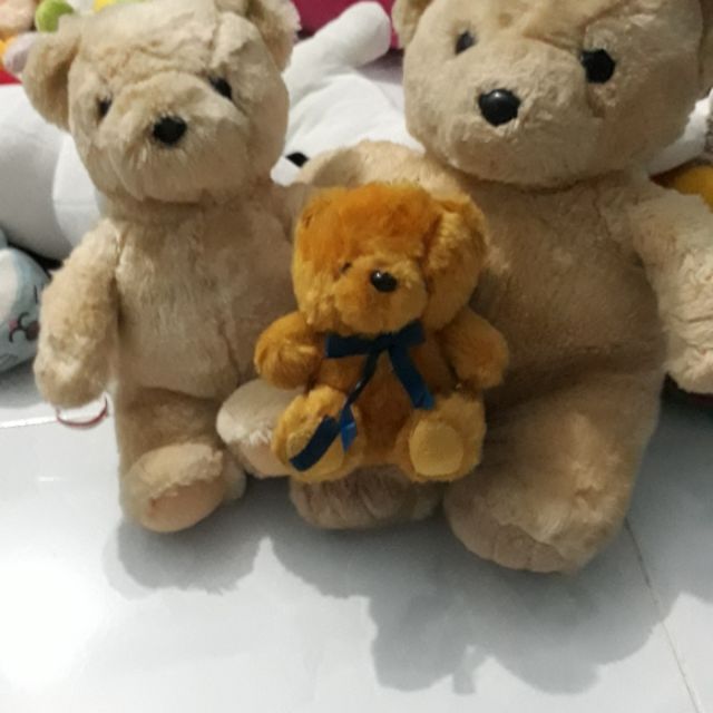 Combo gau chi ly