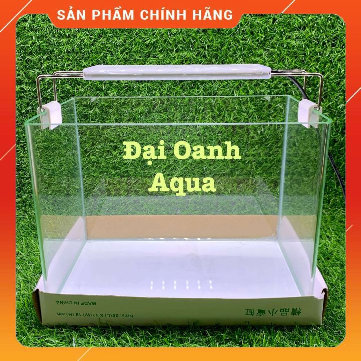 Bể Cá Kính Đúc Mini 25cm Kèm Đèn Lọc Để Bàn, Dài 25cm Rộng 16 Cao 18cm - Bể Cá Cảnh Mini