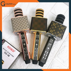 Mic kèm loa bluetooth Karaoke đẳng cấp X6, mic SD-18