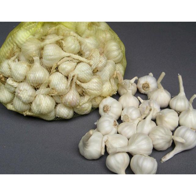 1KG🔥 TỎI LÝ SƠN NHIỀU TÉP LOẠI 1 🔥THƠM NGON CHÍNH GỐC🔥 ĐẶC SẢN QUẢNG NGÃI