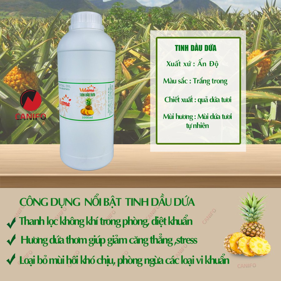 💥TÌM SỈ💥 Tinh dầu dứa CANIFO 1 LÍT 🌿𝐅𝐑𝐄𝐄𝐒𝐇𝐈𝐏🌿 HÀNG CÔNG TY nhập khẩu ẤN ĐỘ có kiểm định COA - Dứa ORGANIC