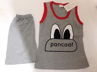 Áo 3 lỗ paint coat