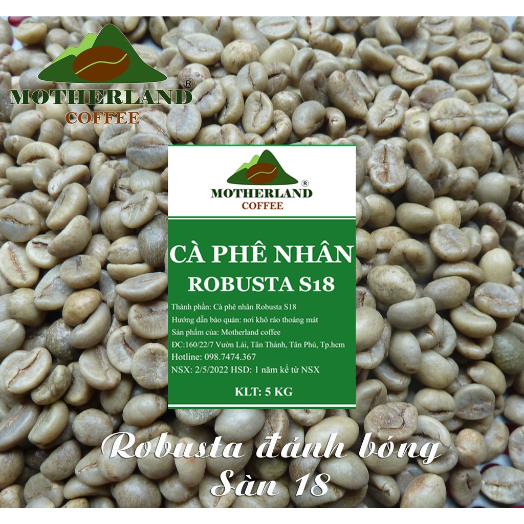 5kg Cà Phê Nhân Robusta S18 đánh bóng Wet Polished