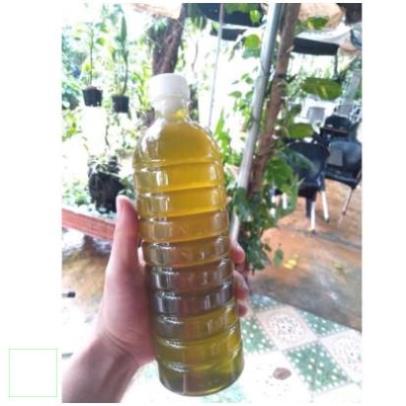 Mật ong bạc hà nguyên chất 1 lit