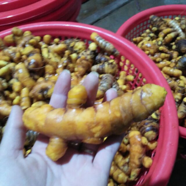 Tinh bột nghệ vàng