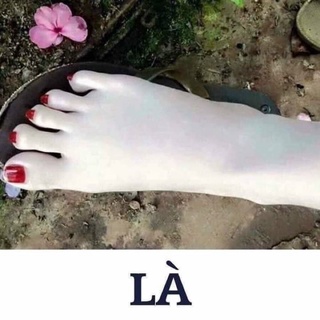 TẮM TRẮNG HOA ANH ĐÀO NHẬT BẢN