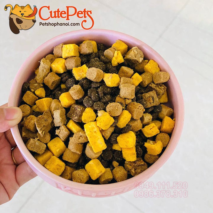 Thức ăn mèo Mister Donut T (Tải 9kg) - CutePets