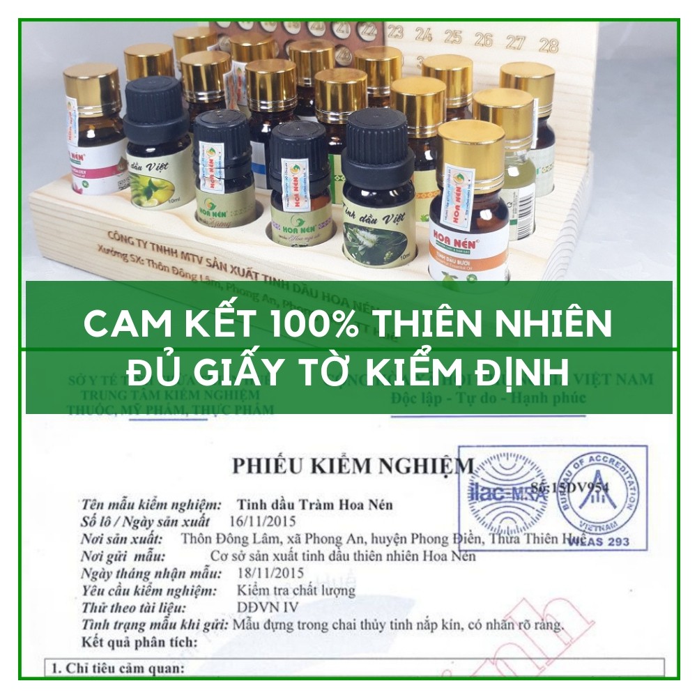 Tinh dầu Hương Nhu 10ml kích thích mọc tóc trị hôi miệng hàng Việt Nam chưng cất thiên nhiên