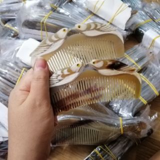 Lược sừng mã Chim đôi tách