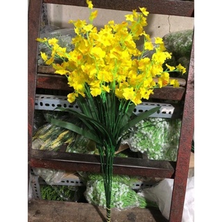 Cành lan vũ nữ giả, cành 65cm 3 nhánh