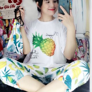 Set lửng 9 tấc thun lạnh 3D quả thơm