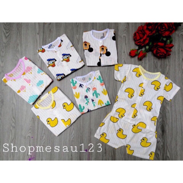 Combo 50 bộ cộc cotton giấy, khuy giữa ( sỉ)